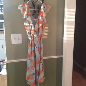 Wrap dress with Fruit. Misses size